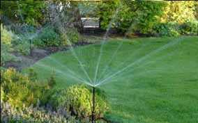 Landscape design services section image